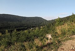027_IMG_x44946_cr
