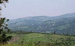 IMG_x45490_cr