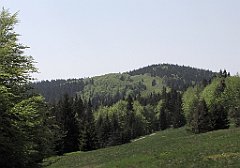 IMG_x45610_cr