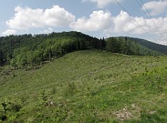 120_IMG_x45902_cr