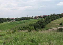 313_IMG_x46354_cr