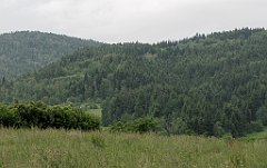 074_IMG_x46574_cr