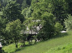 084_IMG_x47029_cr
