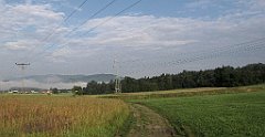 009_IMG_x49113_cr