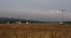 016_IMG_x49123_cr
