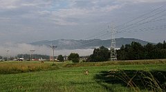 024_IMG_x49137_cr
