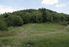 212_IMG_x49359_cr
