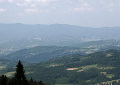 266_IMG_x49436_cr