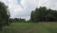 320_IMG_x49501_cr