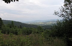 394_IMG_x49594_cr