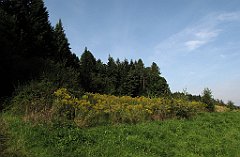 385_IMG_x50971_cr