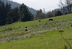 325_IMG_x51350_cr
