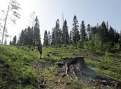 2014_05_23_Ujsoly_Rycerzowa