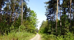 017_TZ60_P1010882_cr