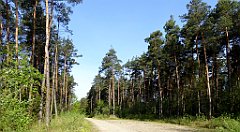 018_TZ60_P1010880_cr