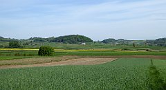 079_TZ60_P1010958_cr