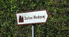 092_TZ60_P1010973_cr