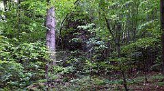 116_TZ60_P1010983_cr