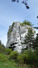 120_TZ60_P1010987_cr