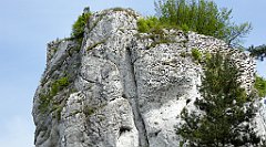 121_TZ60_P1010988_cr