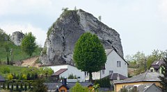 135_TZ60_P1010995_cr