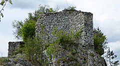 138_TZ60_P1010998_cr