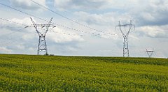 195_TZ60_P1020050_cr