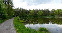 200_TZ60_P1020055_cr