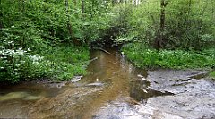 211_TZ60_P1020066_cr