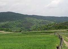 168_IMG_x52198_cr