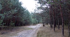 012_TZ60_P1040432_cr