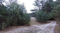 013_TZ60_P1040433_cr