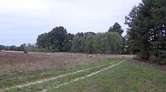 029_TZ60_P1040449_cr