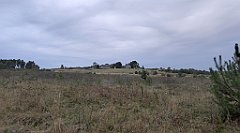 030_TZ60_P1040450_cr