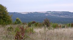 059_TZ60_P1040479_cr