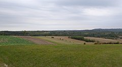 067_TZ60_P1040493_cr