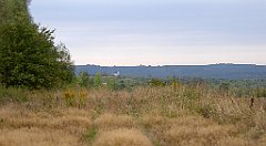 130_TZ60_P1040573_cr