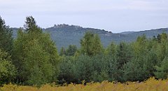 144_TZ60_P1040587_cr