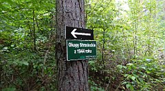 160_TZ60_P1040603_cr