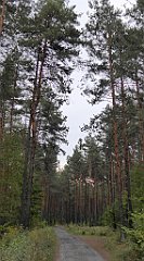 162_TZ60_P1040605_cr