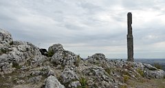 205_TZ60_P1040642_cr