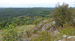 217_TZ60_P1040649_cr