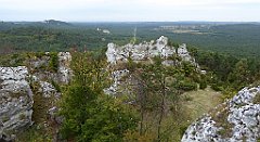 231_TZ60_P1040653_cr