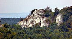 257_TZ60_P1040674_cr