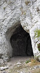 298_TZ60_P1040684_cr