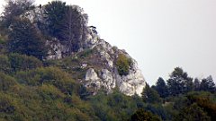 341_TZ60_P1040717_cr