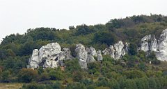 355_TZ60_P1040733_cr