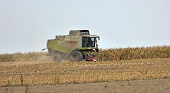 376_TZ60_P1040749_cr