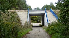 471_TZ60_P1040864_cr