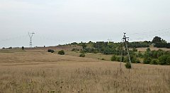 479_TZ60_P1040865_cr